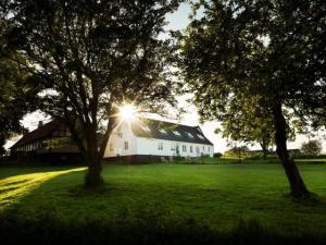 Hullegrd Holiday House, 12 people - near Snogebaek, Balka and Dueodde - Bornholm, Denmark